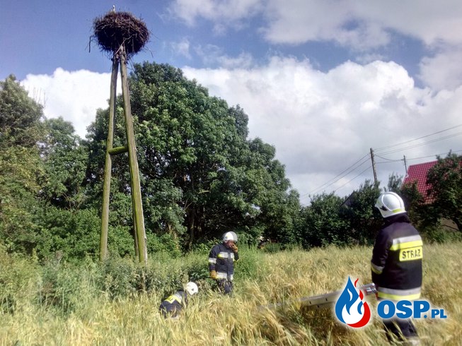 Na ratunek młodemu bocianowi OSP Ochotnicza Straż Pożarna