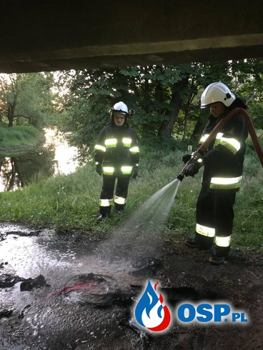 Pożar pod mostem w Glinojecku OSP Ochotnicza Straż Pożarna