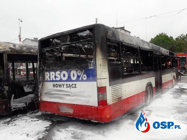 Trzy autobusy spłonęły na terenie zajezdni w Nowym Sączu OSP Ochotnicza Straż Pożarna