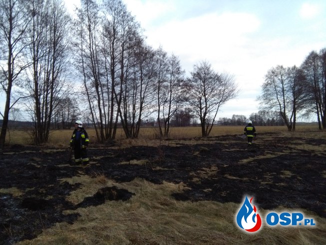 Pożar trawy w Kiejszach OSP Ochotnicza Straż Pożarna