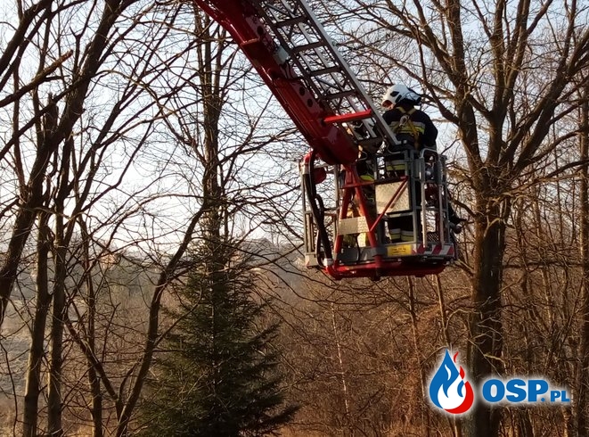 Pochylone drzewa nad drogą gminną - 25 stycznia 2020r. OSP Ochotnicza Straż Pożarna