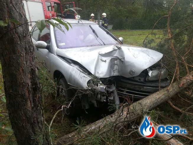 Wronki – samochód uderzył w drzewo OSP Ochotnicza Straż Pożarna