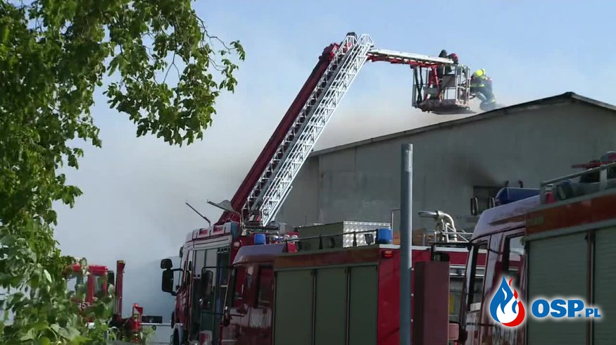 Kilkanaście tysięcy kurcząt spłonęło w Kościelnej Wsi. OSP Ochotnicza Straż Pożarna