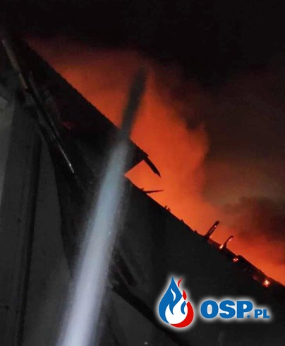 Nocny pożar hurtowni budowlanej w Pabianicach. Słychać było eksplozje pojemników z chemikaliami. OSP Ochotnicza Straż Pożarna