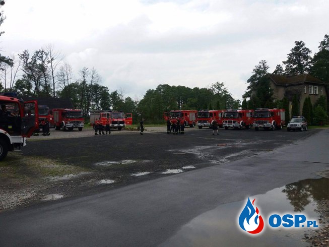 Ćwiczenia VII Kompanii Gaśniczej OSP Ochotnicza Straż Pożarna