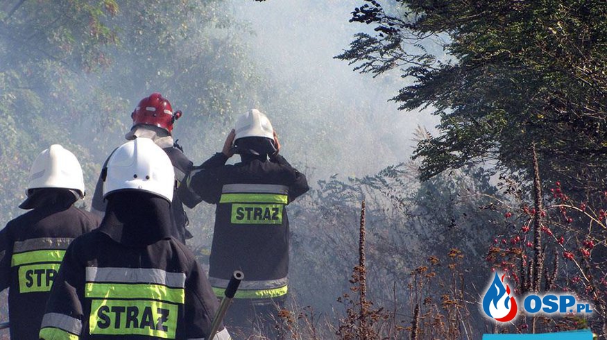 #27 Pożar suchej trawy na nasypie kolejowym OSP Ochotnicza Straż Pożarna