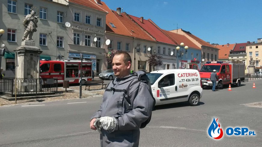 #10 Plaga owadów na Rynku w Białej OSP Ochotnicza Straż Pożarna