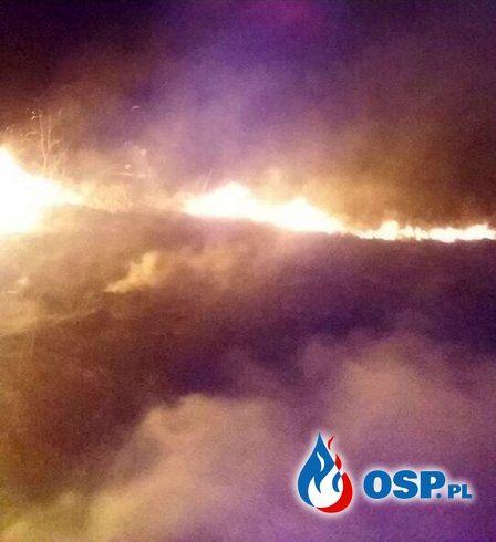 Pożar traw - 16.03.2017 - Pięty OSP Ochotnicza Straż Pożarna