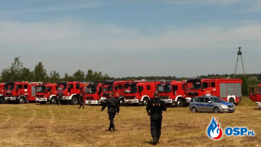 Zabezpieczenie ćwiczeń wojewódzkich OSP Ochotnicza Straż Pożarna