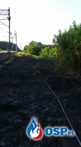 91/2019 Pożar trawy przy torach kolejowych OSP Ochotnicza Straż Pożarna