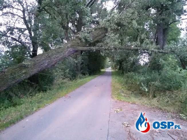 Powalone drzewo na drodze Landzmierz-Sukowice OSP Ochotnicza Straż Pożarna