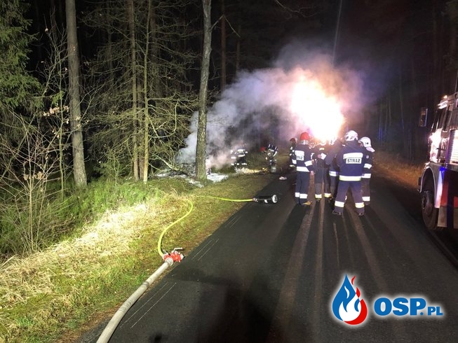 Auto zapaliło się po uderzeniu w drzewo. Kierowca zdołał uciec przed ogniem. OSP Ochotnicza Straż Pożarna