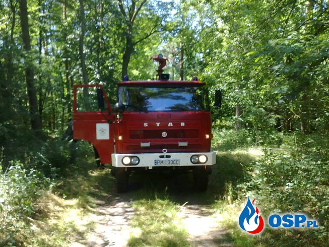 Pożar lasu Puszcza OSP Ochotnicza Straż Pożarna