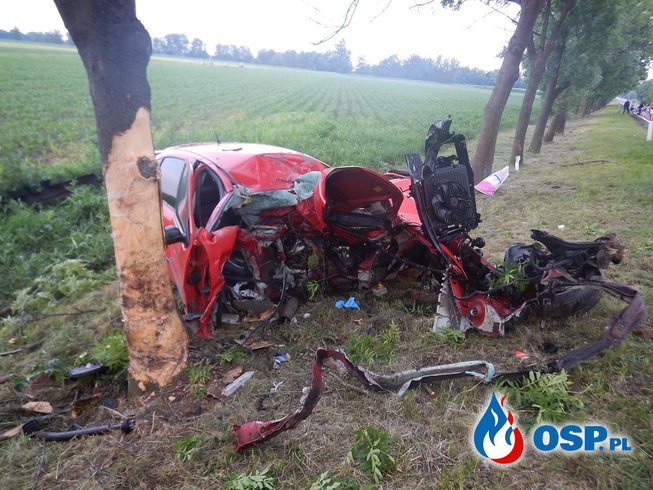 23-letnia kobieta wbiła się seatem w drzewo. Zginęła na miejscu. OSP Ochotnicza Straż Pożarna