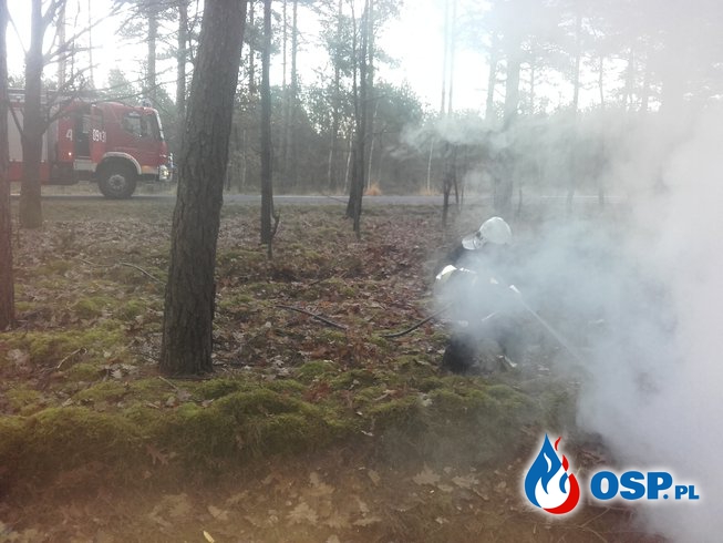 03.12- uwolnienie zatrzaśnietej kobiety i gaszenie ogniska w lesie OSP Ochotnicza Straż Pożarna