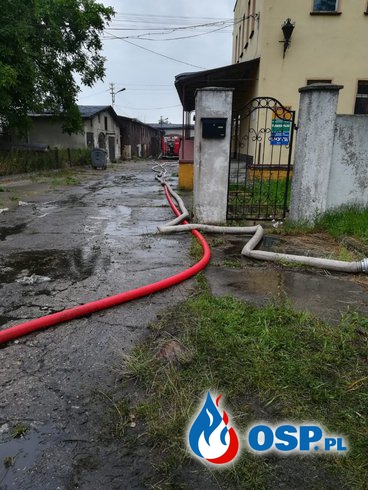 Pożar nielegalnego wysypiska śmieci w Dąbrowie k.Opola OSP Ochotnicza Straż Pożarna