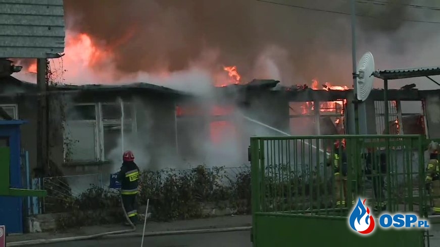 Pożar magazynu z fajerwerkami w Warszawie. W akcji ponad 50 strażaków. OSP Ochotnicza Straż Pożarna