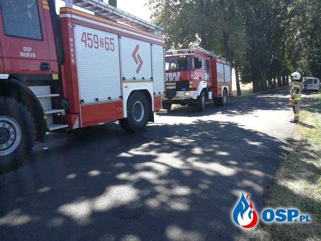 Pożar jęczmienia w Dolsku OSP Ochotnicza Straż Pożarna