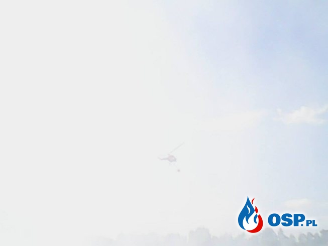 Pożar torfowiska obok rzeki Brynica. (28.08.2015) OSP Ochotnicza Straż Pożarna