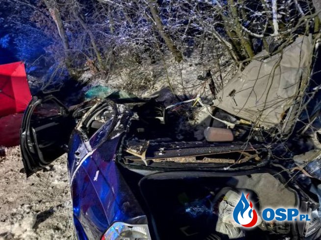 BMW uderzyło dachem w drzewo. Dwie osoby zginęły. OSP Ochotnicza Straż Pożarna