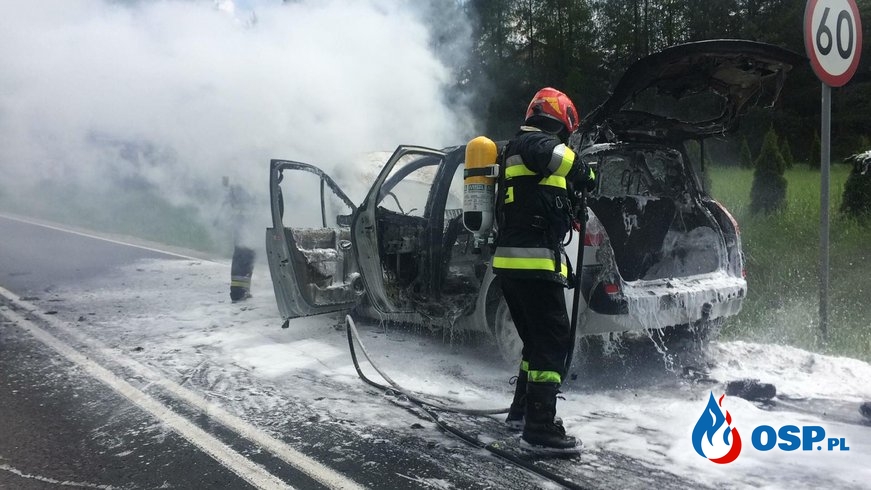Samochód osobowy doszczętnie spłonął na DW 975. OSP Ochotnicza Straż Pożarna