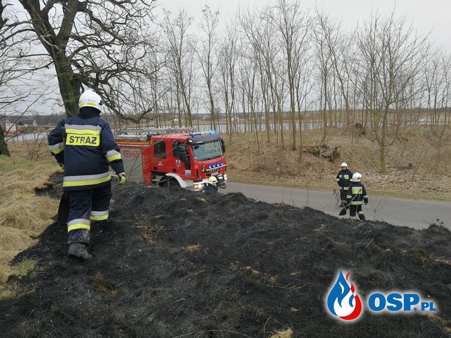 Pożar na trasie Moryń - Przyjezierze OSP Ochotnicza Straż Pożarna