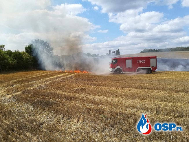 Templewko - Spłonęło 5 hektarów OSP Ochotnicza Straż Pożarna
