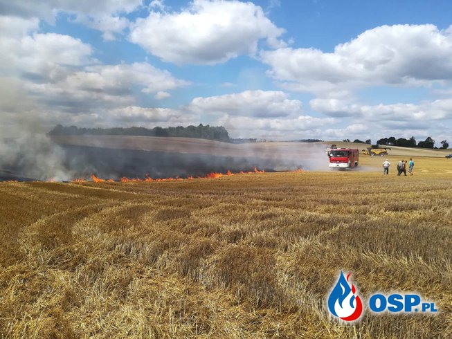 Templewko - Spłonęło 5 hektarów OSP Ochotnicza Straż Pożarna