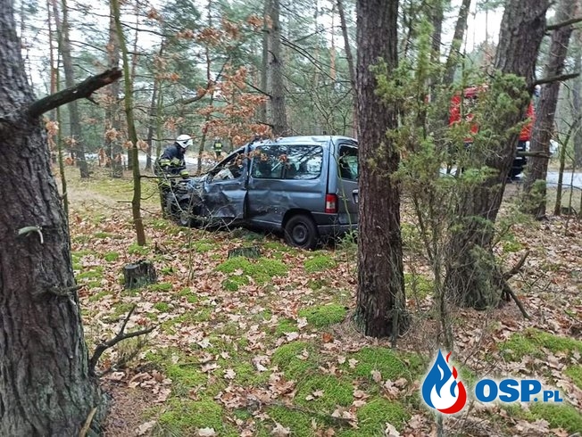 Kierowca skosił betonowy słup i wjechał w las OSP Ochotnicza Straż Pożarna