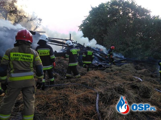 10 zastępów strażaków gasiło płonący budynek gospodarczy w Szczereży OSP Ochotnicza Straż Pożarna
