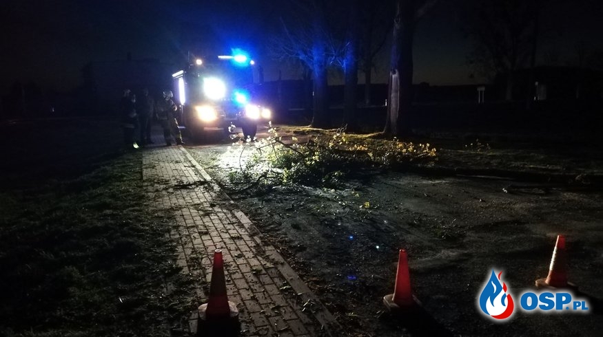 72/2020 Drzewo na drodze i niebezpiecznie zwisająca gałąź OSP Ochotnicza Straż Pożarna