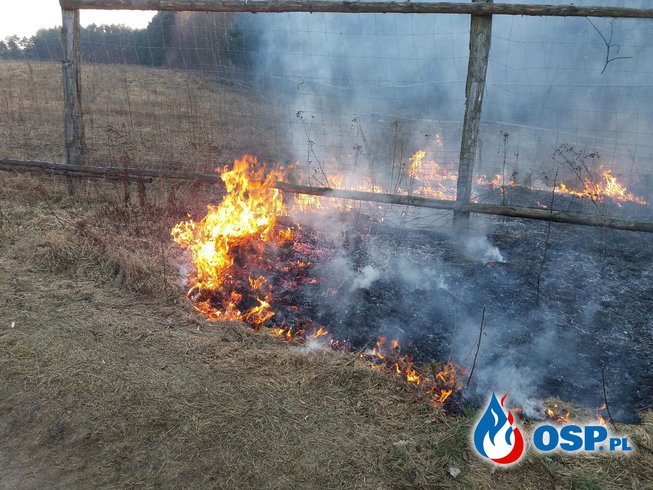 Pożar Traw ! OSP Ochotnicza Straż Pożarna