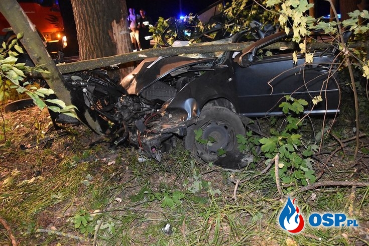 27-latek zginął w wypadku pod Annopolem. Auto uderzyło w drzewo. OSP Ochotnicza Straż Pożarna