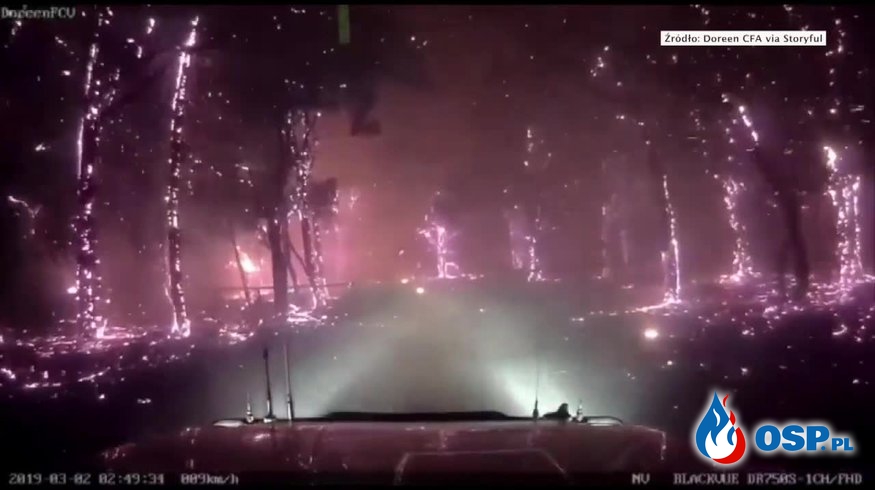 Australijscy strażacy opublikowali film z wozu, z samego środka pożaru lasu! OSP Ochotnicza Straż Pożarna