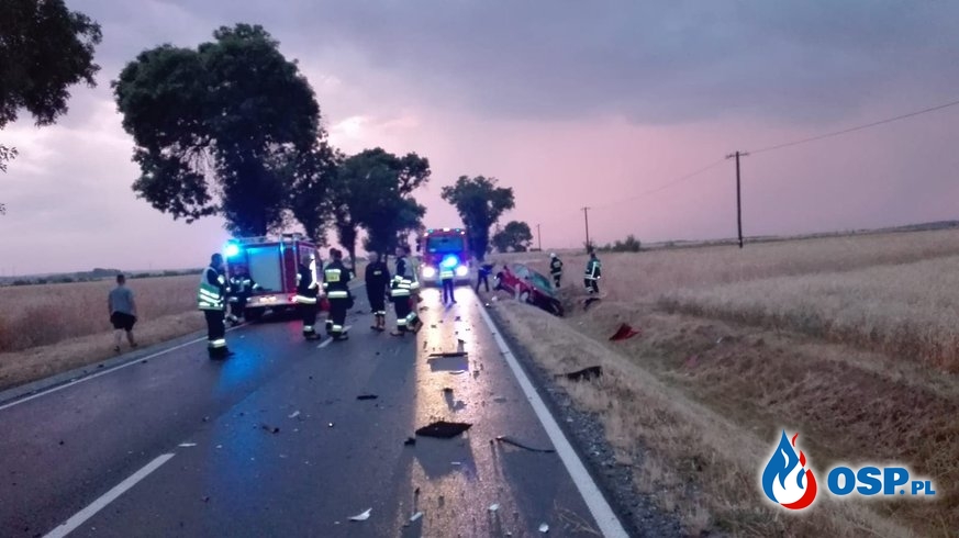 Czołowe zderzenie auta z ciężarówką pod Olesnem. Zginęła 49-letnia kobieta. OSP Ochotnicza Straż Pożarna