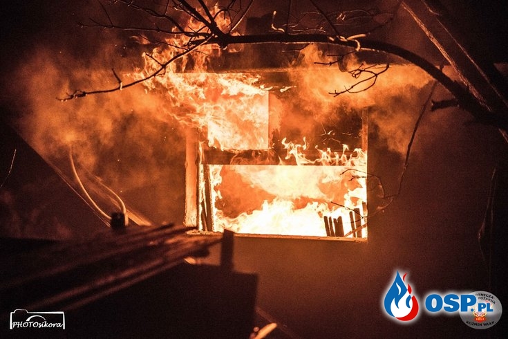 Pustostan w ogniu. 4 zastępy strażaków w akcji. OSP Ochotnicza Straż Pożarna