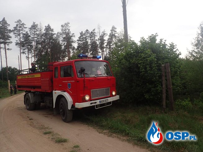 Kolejne dwa pożary lasów OSP Ochotnicza Straż Pożarna