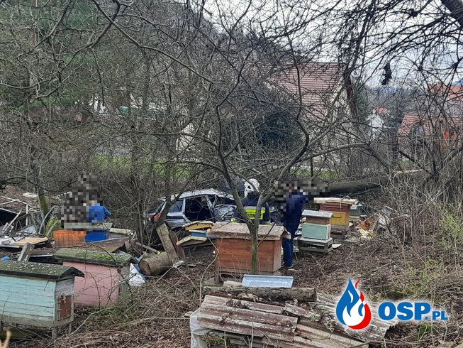 Pszczoły atakowały ratowników. Trudna akcja po tragicznym wypadku. OSP Ochotnicza Straż Pożarna