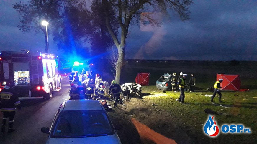 Niemowlę i młoda kobieta zginęli w wypadku. Auto wpadło na drzewo po zderzeniu z dzikiem. OSP Ochotnicza Straż Pożarna