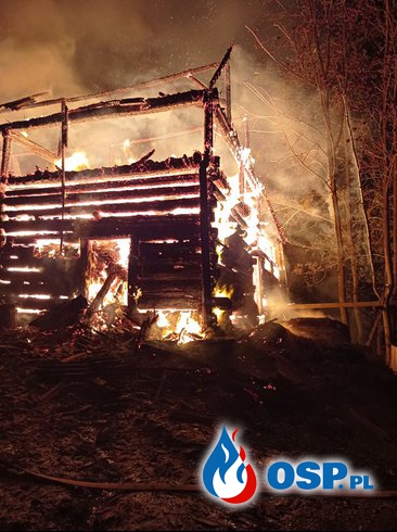 Zwierzęta zginęły w pożarze gospodarstwa. Trudna akcja gaśnicza w Łomnicy Zdroju. OSP Ochotnicza Straż Pożarna