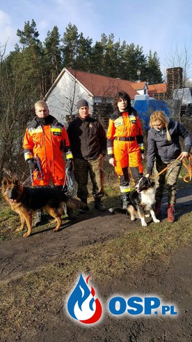 8 psów szkolonych w Lubuskim!! OSP Ochotnicza Straż Pożarna