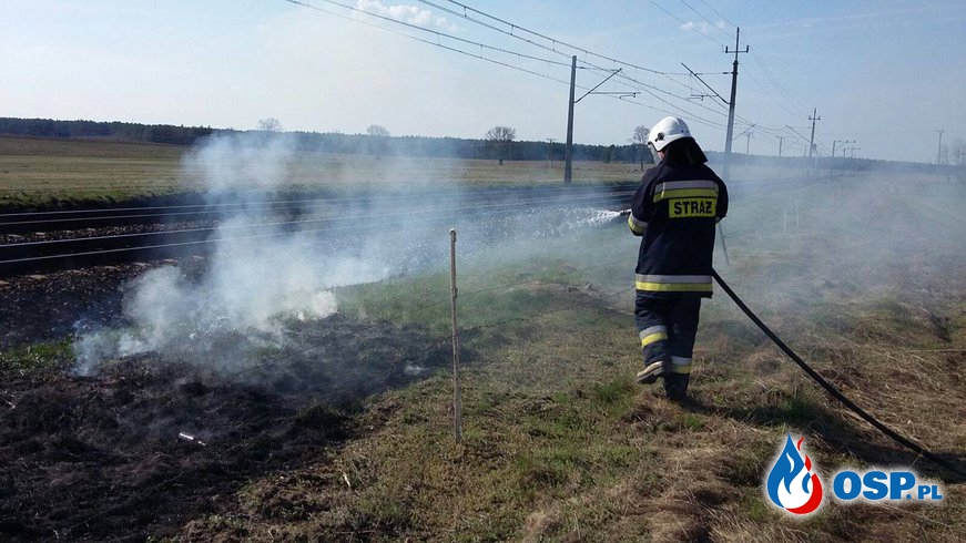 Pożar trawy przy linii kolejowej OSP Ochotnicza Straż Pożarna
