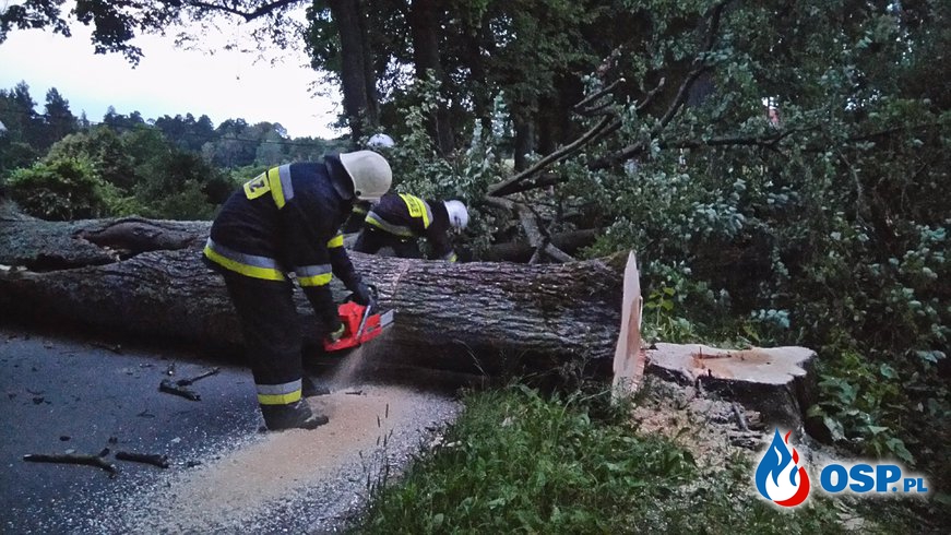Wyjazd do złamanego drzewa! OSP Ochotnicza Straż Pożarna