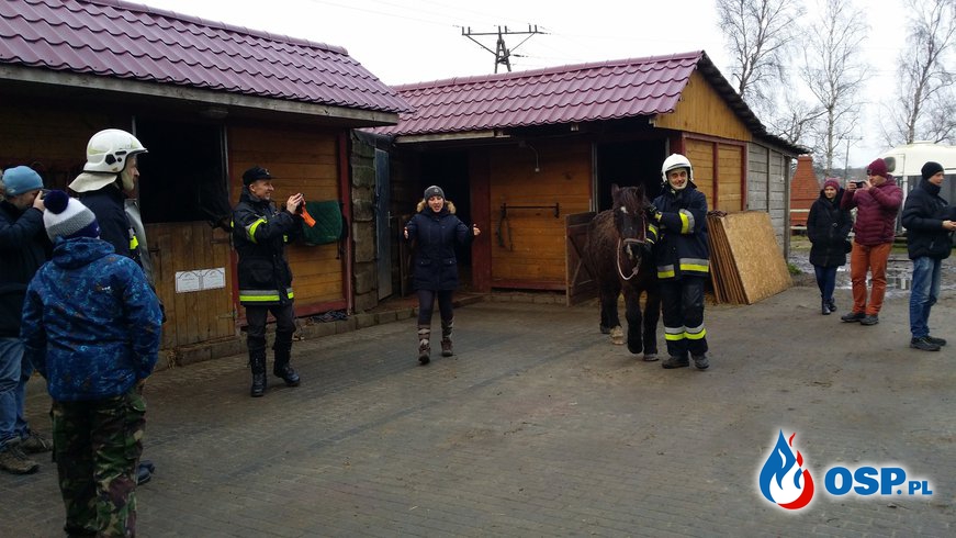 Szkolenie w Stajni „PESTKA” OSP Ochotnicza Straż Pożarna
