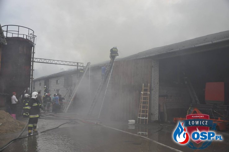 Chlewnia spłonęła w Lenartowie. Przyczyną pożaru było prawdopodobnie uderzenie pioruna! OSP Ochotnicza Straż Pożarna