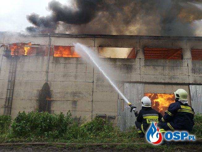 Polscy strażacy OSP brali udział w akcji gaśniczej w Czechach OSP Ochotnicza Straż Pożarna
