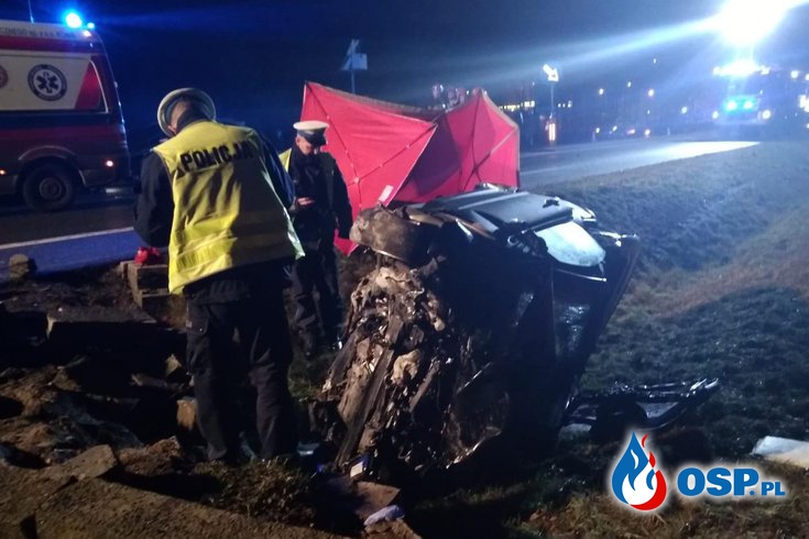 Śmiertelny wypadek pod Koninem. Strażacy wycinali kierowcę. OSP Ochotnicza Straż Pożarna
