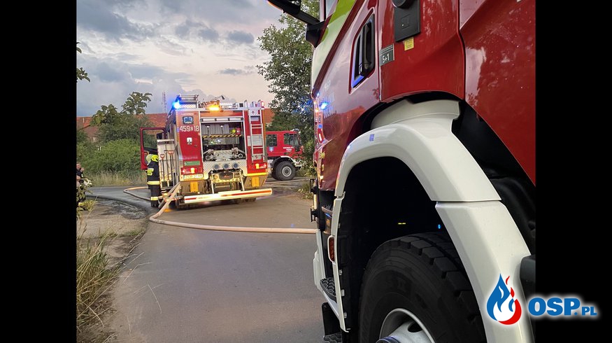 Pożar na lotnisku w Chojnie OSP Ochotnicza Straż Pożarna