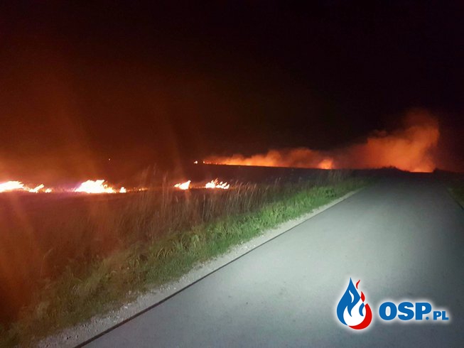 Pożar Traw przy ul. Przylaski OSP Ochotnicza Straż Pożarna