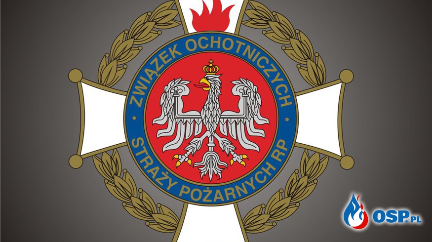 Posiedzenie Zarządu Oddziału Gminnego ZOSP RP OSP Ochotnicza Straż Pożarna